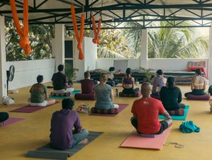 7 Day 50-Hour Aerial Yoga Teacher Training Course in Goa, India