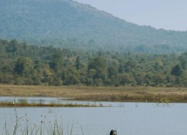 Dandeli Retraites en Reizen