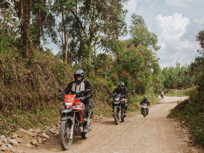 4 Day Coffee and Cocora Guided Motorcycle Tour in the Salento Region of Colombia photo 9