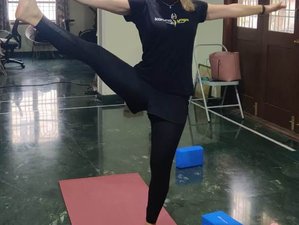Online 100-Hour Hatha Vinyasa and Meditation Teacher Training Course With 30 Live Hours