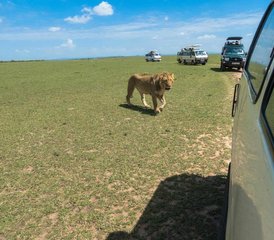 64-Daagse Safari in Amboseli, Lake Naivasha en Hell's Gate National Park, Kenia - Photo 1