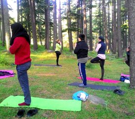 6 Day Detox Mind-Body: Healing, Meditation, and Yoga Retreat in Dharamshala, Himachal Pradesh, India - Photo 2