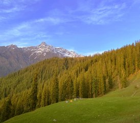 3 Tage Zurück Zu Den Wurzeln: Ein Entspannter Trekking- Und Yoga-Retreat-Erlebnis In Himachal Pradesh, Indien - Photo 4