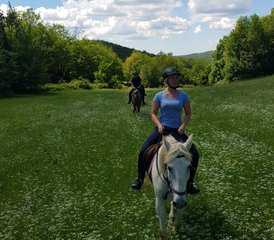 4-daagse geweldige paardrijvakantie in Toscane, Montieri, Italië - Photo 5