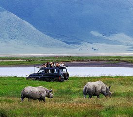 115 días de safari de acampada en el lago Manyara, Ngorongoro y Serengeti, Tanzania - Photo 1