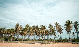 Norte Occidental Retiros y Viajes