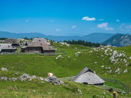 Kamnik–Savinja Alps