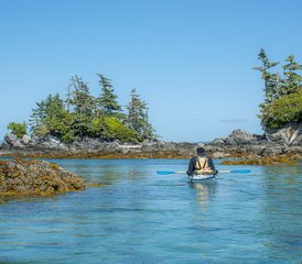 8 jours expédition kayak et faune à Bella Bella, Canada - Photo 2