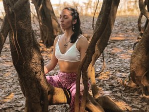 21 Day 200-Hour Hatha, Ashtanga, Vinyasa, Ayurveda and Healing Yoga Teacher Training in Goa, India