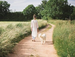 5 Day Bespoke Individual Retreat in Silence with Detox and Yoga in Glastonbury, Somerset, UK