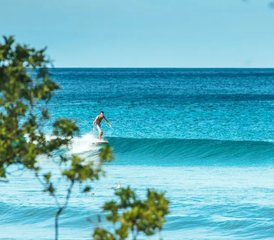 8 jours en stage de surf tous niveaux et retraite de yoga à Playa Avellanas, Costa Rica - Photo 5
