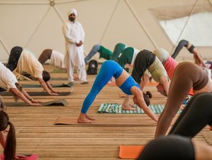 29 Tage 300-Stunden Yogalehrer Ausbildung in Rishikesh, Indien