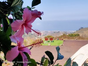 20 Day 1-on-1 Inspirational, Motivational, Built Yourself Back Better Retreat in Tenerife, Spain