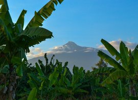 Mto wa Mbu Retreats & Trips