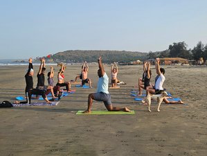 26 jours-300h en formation de professeur de yoga avancée multistyle à Goa, Inde