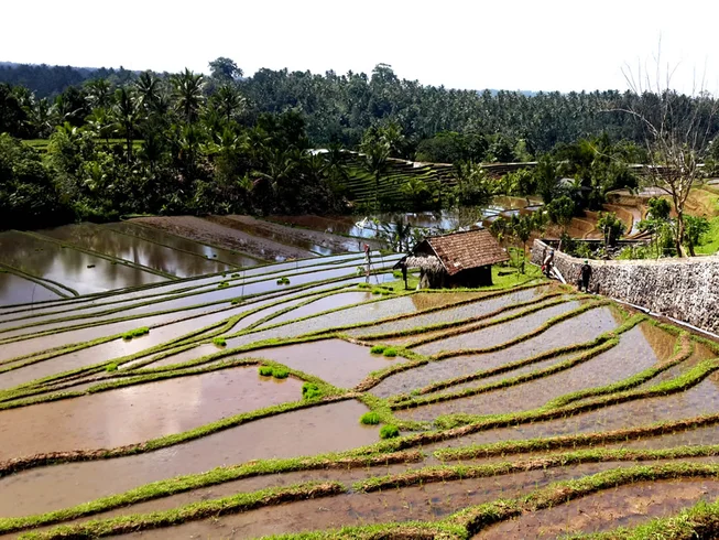 12 Day Guided Motorcycle Tour in Bali and East Java photo 7