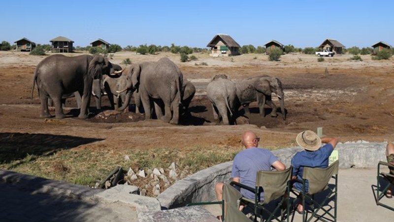 5 Day Incredible Safari in Zimbabwe, Zambia, Botswana, and Namibia