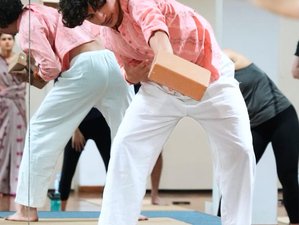 28 días de curso de profesorado de yoga de 300 horas, científico y espiritual, de varios estilos en Bali, Indonesia