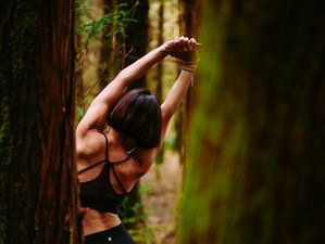 6 jours de stage de yoga « Ground and Flow » aux Açores, Portugal