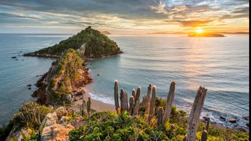 3 jours surf & skate à Rio Tavares, Florianópolis, Brésil