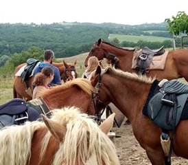 4 Day "Cool and Gourmet" Horse Riding Holidays in Lupiac, Occitanie, France - Photo 4