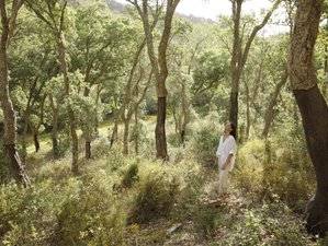 4 Day Peace Within Wellness Retreat in Cercal do Alentejo