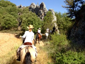 8 Days El Cid Trail Horse Riding Holiday In Castile And León - 