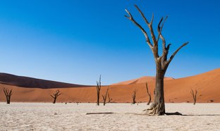 Deadvlei Retraites et Voyages