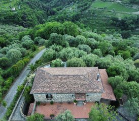 3 jours en stage de régime méditerranéen, méditation et yoga à Cilento, Italie - Photo 3
