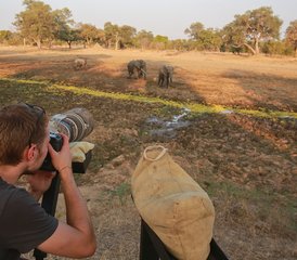 9-Daagse Spannende Fotografische Safari in South Luangwa, Zambia - Photo 4