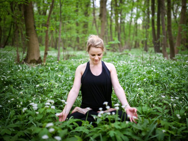 Practice Yoga In The Forest Every Wednesday At The Woodlands Reserve