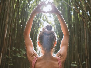5 Day Detox, Recharge and Reset Wellness Retreat in ilha Graciosa, Azores, Portugal