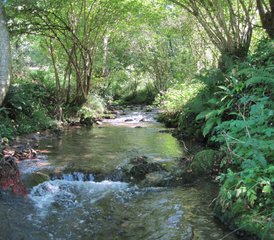 4 Day Tao Yoga, Meditation, and Qigong Retreat in Ariège, France - Photo 2