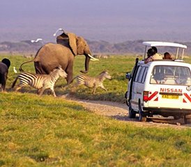2 Tage Road Safari im Tsavo East Nationalpark von Mombasa, Kenia - Photo 4