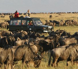 57 Day Kenya Wildlife Safari in Masai Mara, Lake Nakuru, Lake Naivasha, and Amboseli - Photo 1