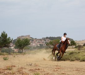 8 Day Authentic Greek Island Advanced Horse Riding Holiday in Molyvos, Lesbos, Greece - Photo 2