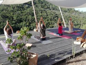 5 Day Soul Food and Yoga Retreat in Nature at Yoga Lodge in Odeceixe, Portugal