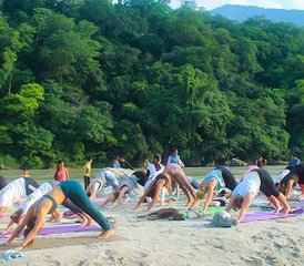 24 Tage 200-Stunden Yogalehrerausbildung in Rishikesh, Indien - Photo 5