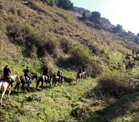 15 Tage Ein Geschmack Von Wildnis Und Freiheit: Kirgisisches Nomaden-Reitabenteuer Osh–Bischkek, Kirgisistan - Photo 4
