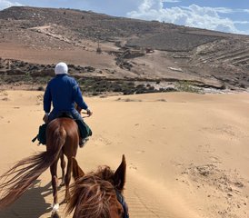 4 jours en stage d'équitation sur l'Atlantique : expériences au lever et au coucher du soleil à Essaouira, Maroc - Photo 5