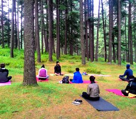68 días de retiro de yoga y meditación de los siete chakras en Mandrem, Goa, India - Photo 1