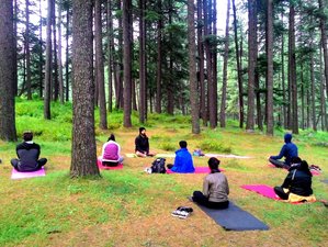 8 Day Seven Chakra Journey Yoga & Meditation Retreat in Mandrem, Goa