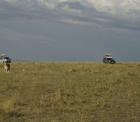 7 jours en stage d'expérience au bord du lac au Kenya - Photo 3