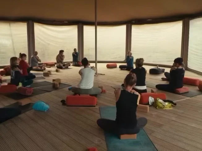 3 Day Treetop Devon Retreat: Yoga, Walking and Sauna in The Treetops in North Devon, UK