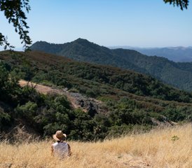 4 jours en stage de calme, résilience et nature sauvage : découvrez les secrets de votre système nerveux à San Luis Obispo, États-Unis - Photo 4