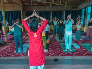 29 Tage 300-Stunden Kundalini-Yogalehrerausbildung in Rishikesh, Indien