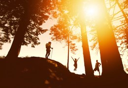Yoga and Walking Yoga Retreats