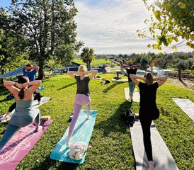 7 Tage 60-Stunden Hybrid Atemarbeit und Pranayama Lehrer Ausbildung Level I in Mallorca, Spanien - Photo 4