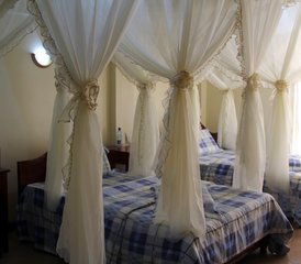 4 Days Lake Nakuru and Masai Mara Safari in Kenya - Photo 5