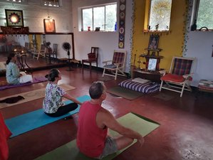 Top 10 Yoga Retreats in Kerala